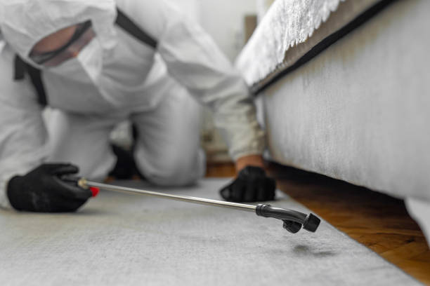 Professional Termite Control technician working in Shasta, CA