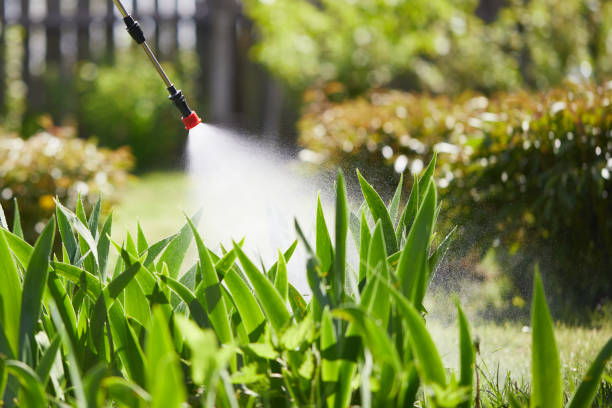 24/7 Emergency Termite Control experts in Shasta, CA